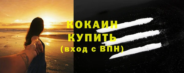 индика Лиски