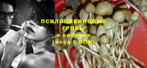 дурь Семилуки