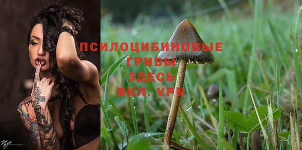 дурь Семилуки