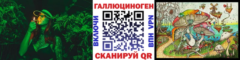 Галлюциногенные грибы GOLDEN TEACHER  mega ONION  Феодосия  даркнет сайт 