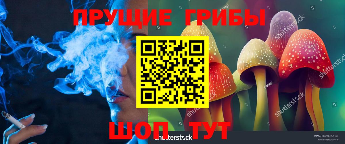 Псилоцибиновые грибы прущие грибы Феодосия