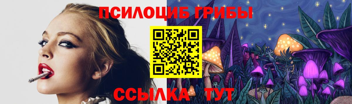 Псилоцибиновые грибы GOLDEN TEACHER  Галлюциногенные грибы Psilocybe  Вход с VPN  Феодосия 
